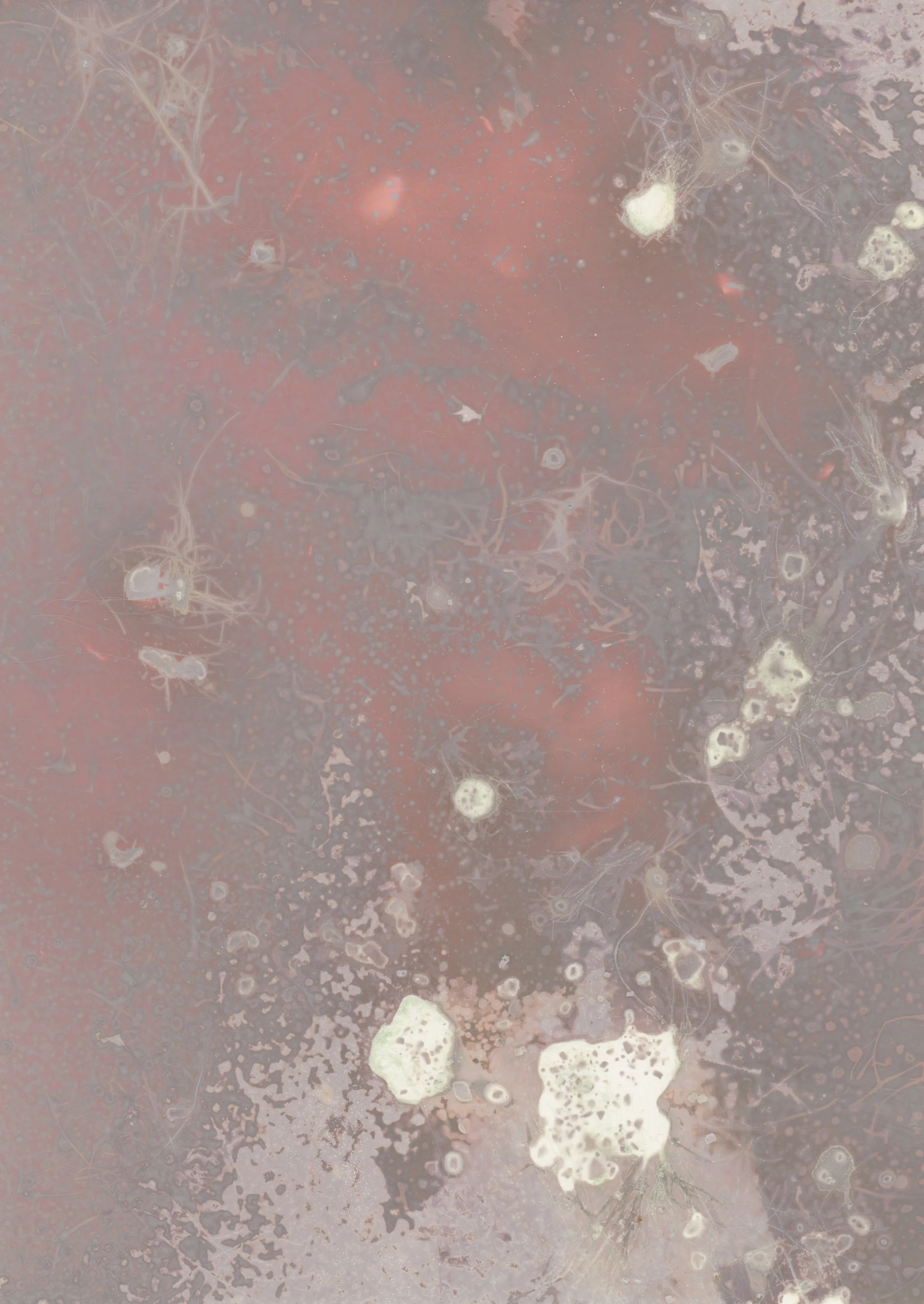 scans20260115_14142164 copy.jpg