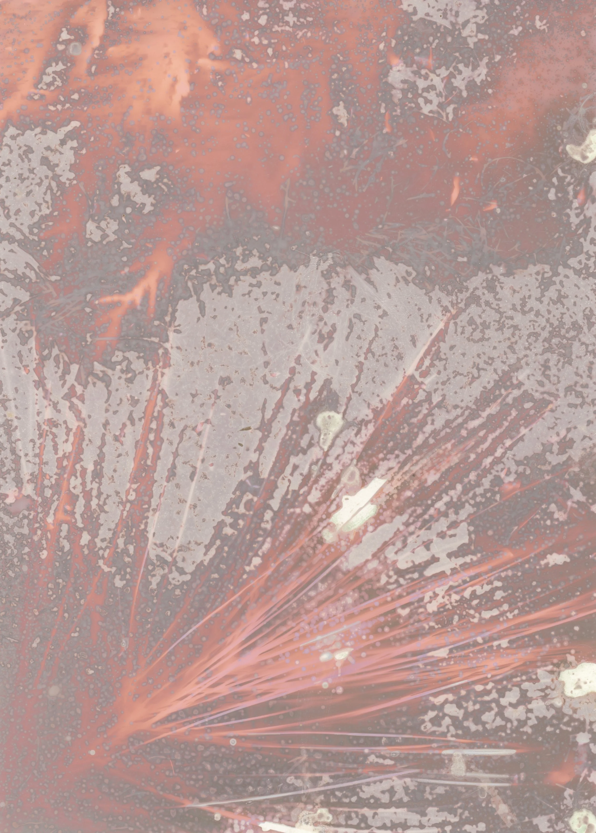 scans20260115_14194010 copy.jpg