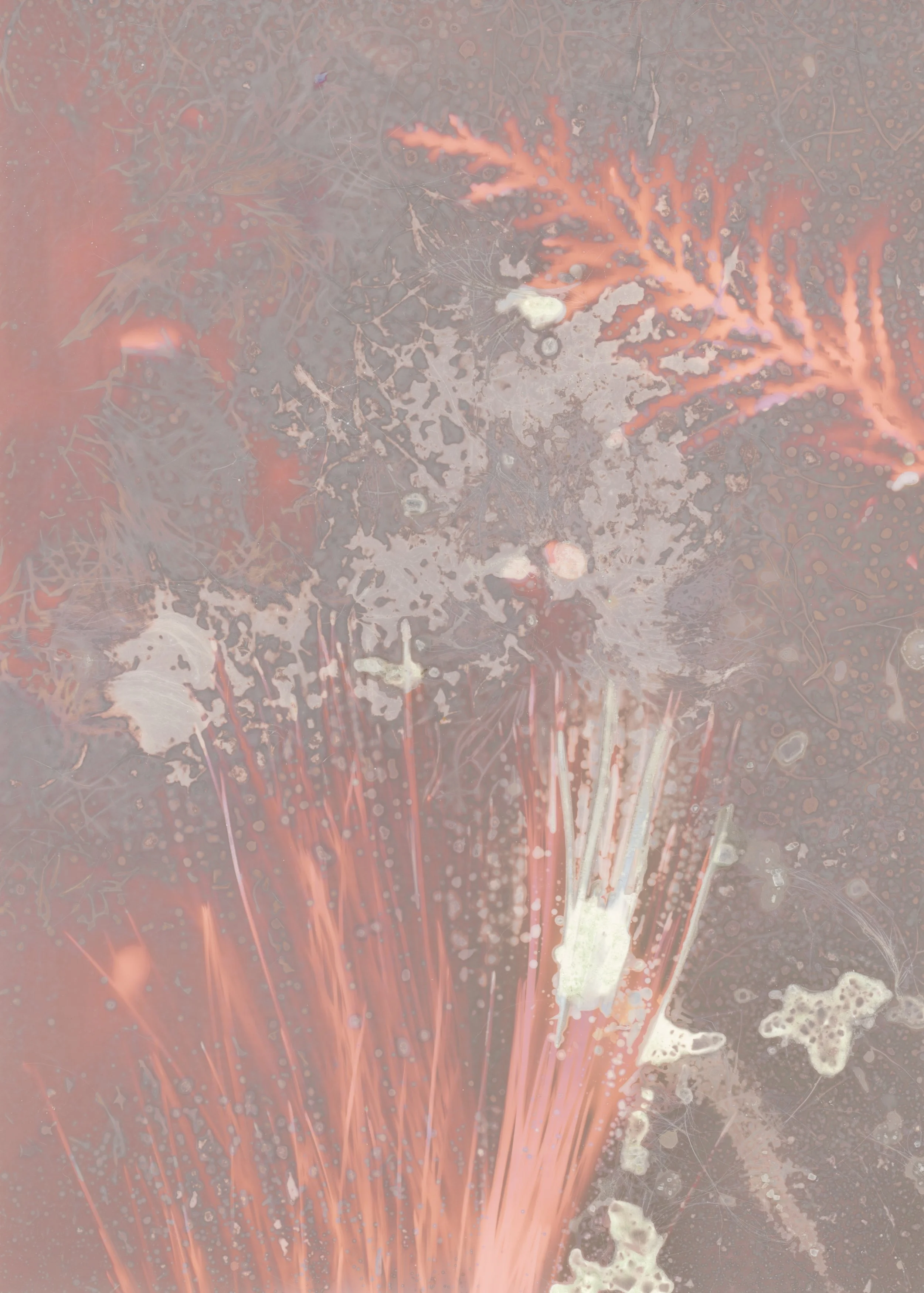 scans20260115_14225158 copy.jpg