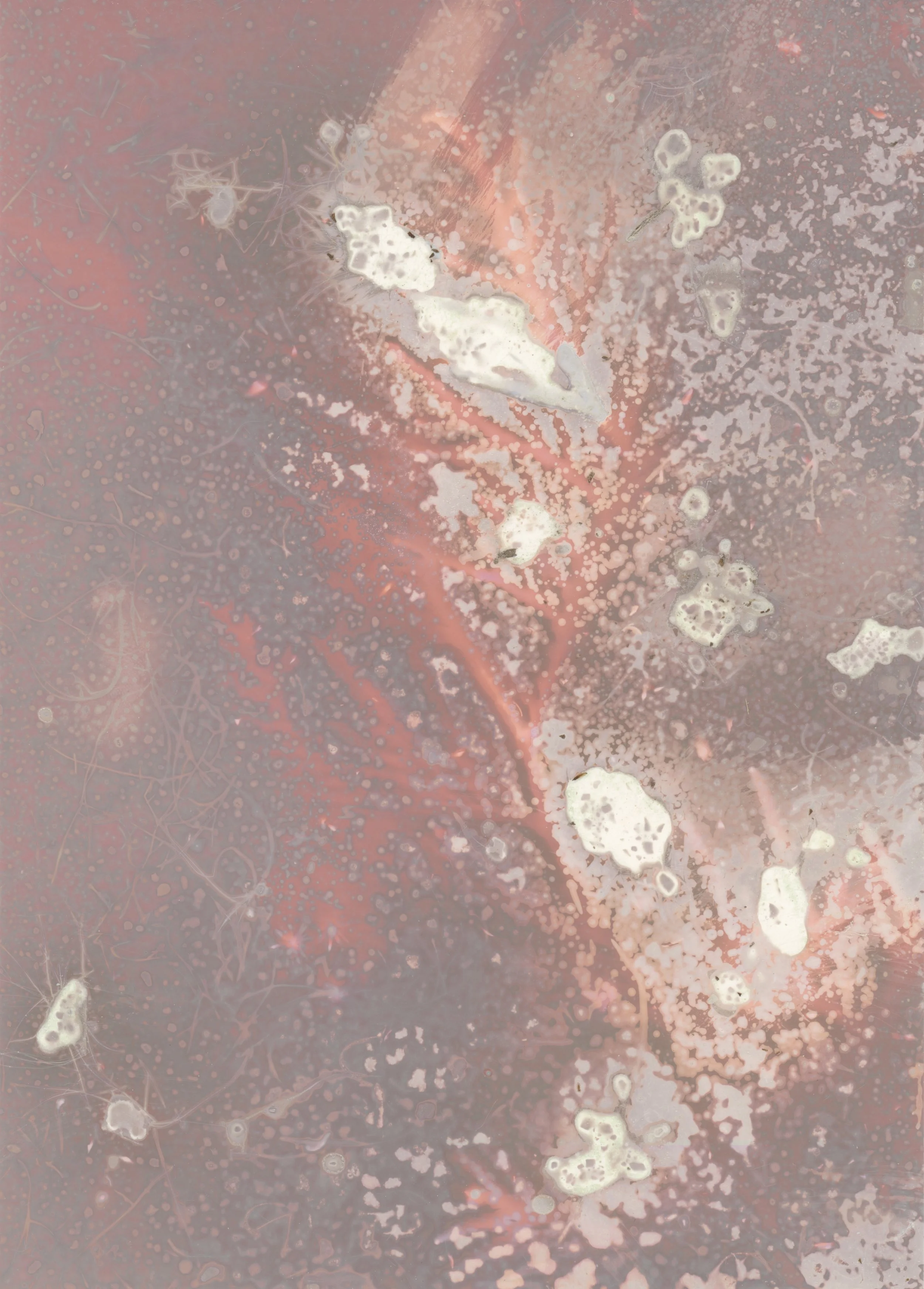 scans20260115_14240826 copy.jpg