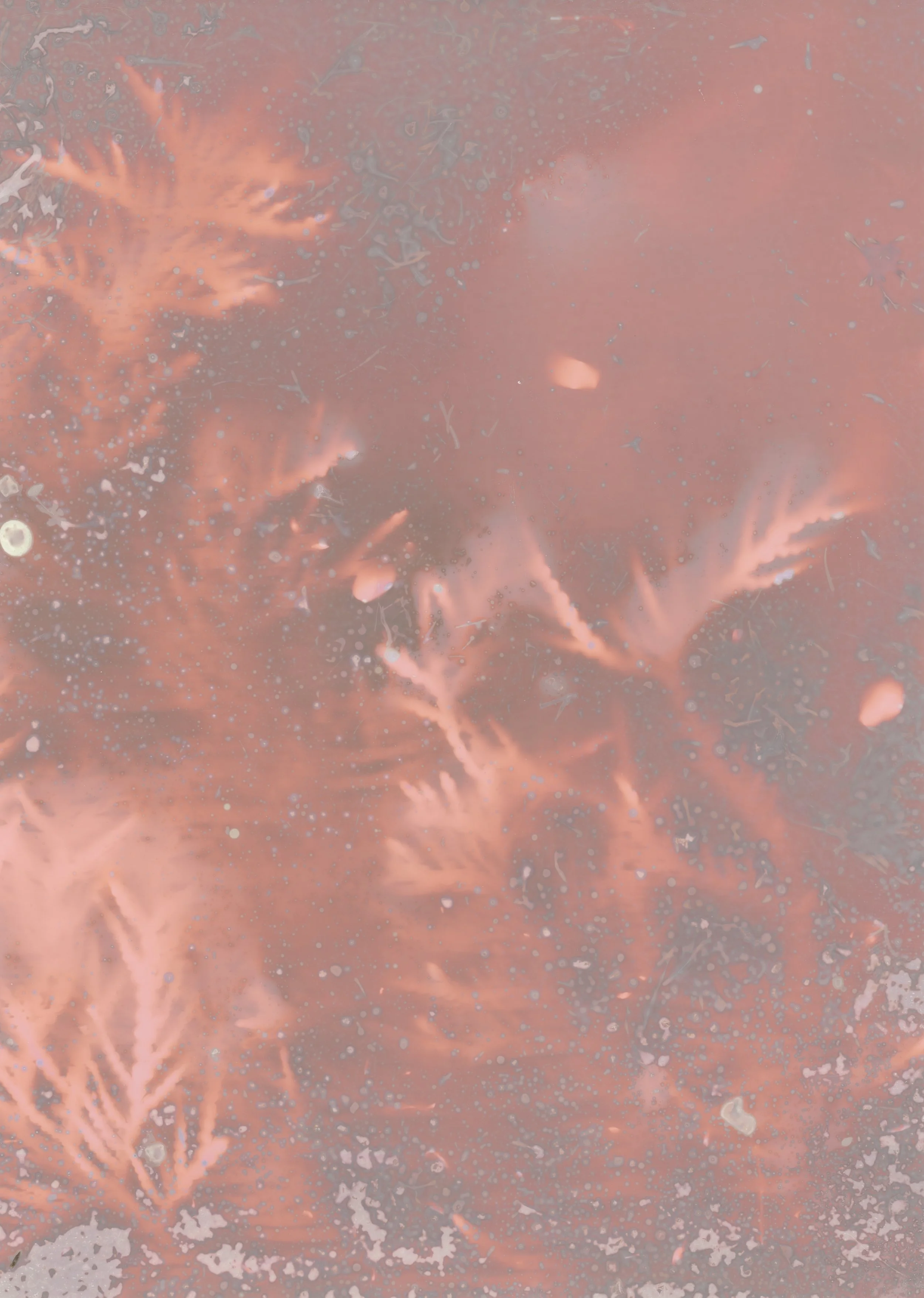 scans20260115_14281992 copy.jpg