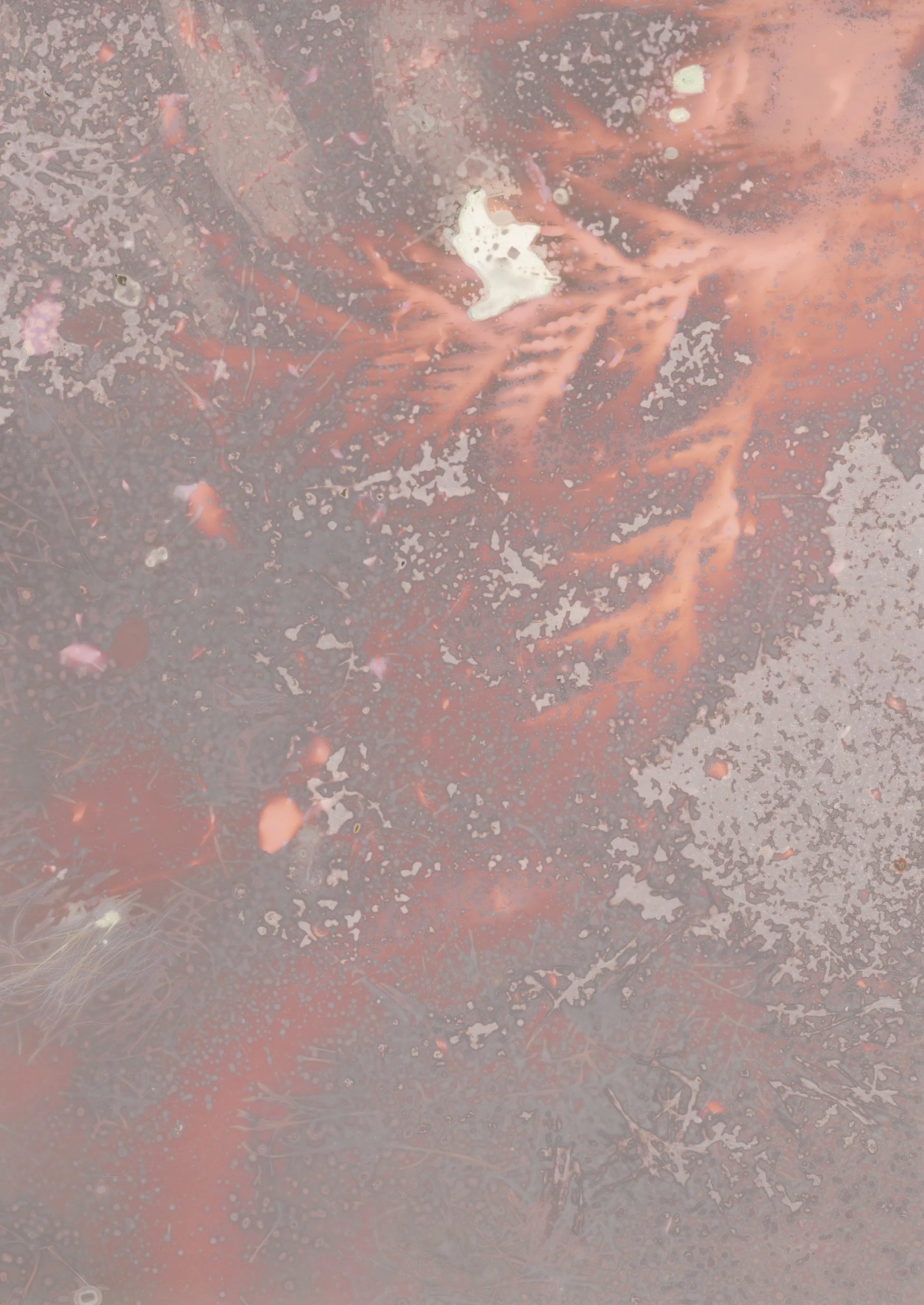 scans20260115_14310903 copy.jpg