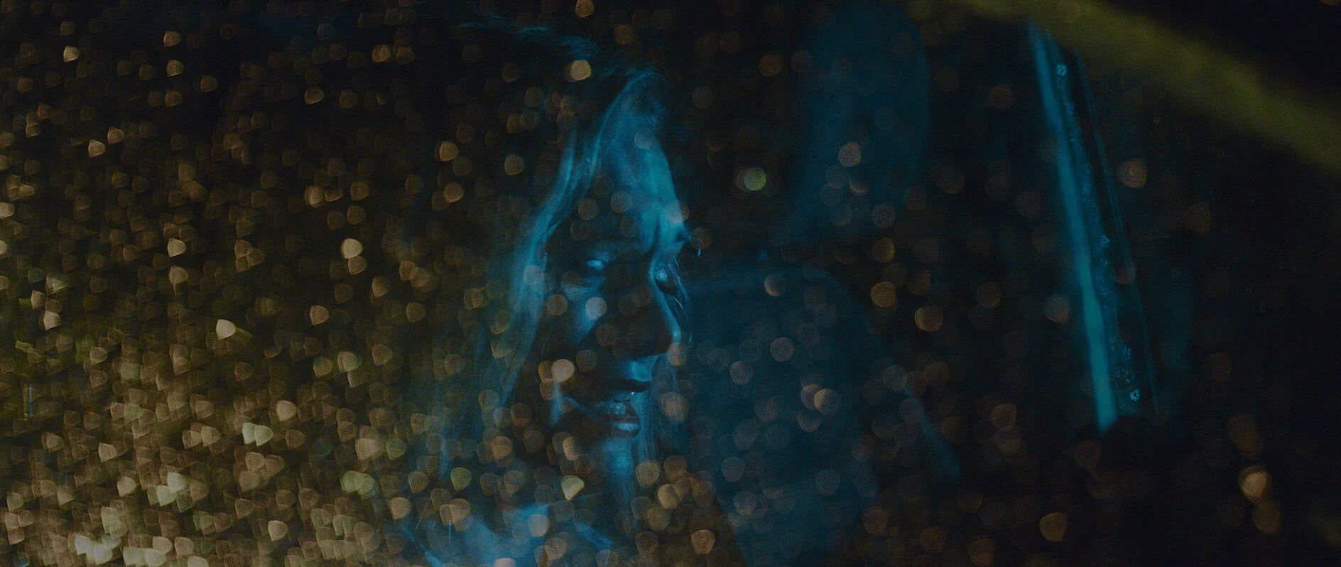 Wild Smiles - "Never Wanted This"