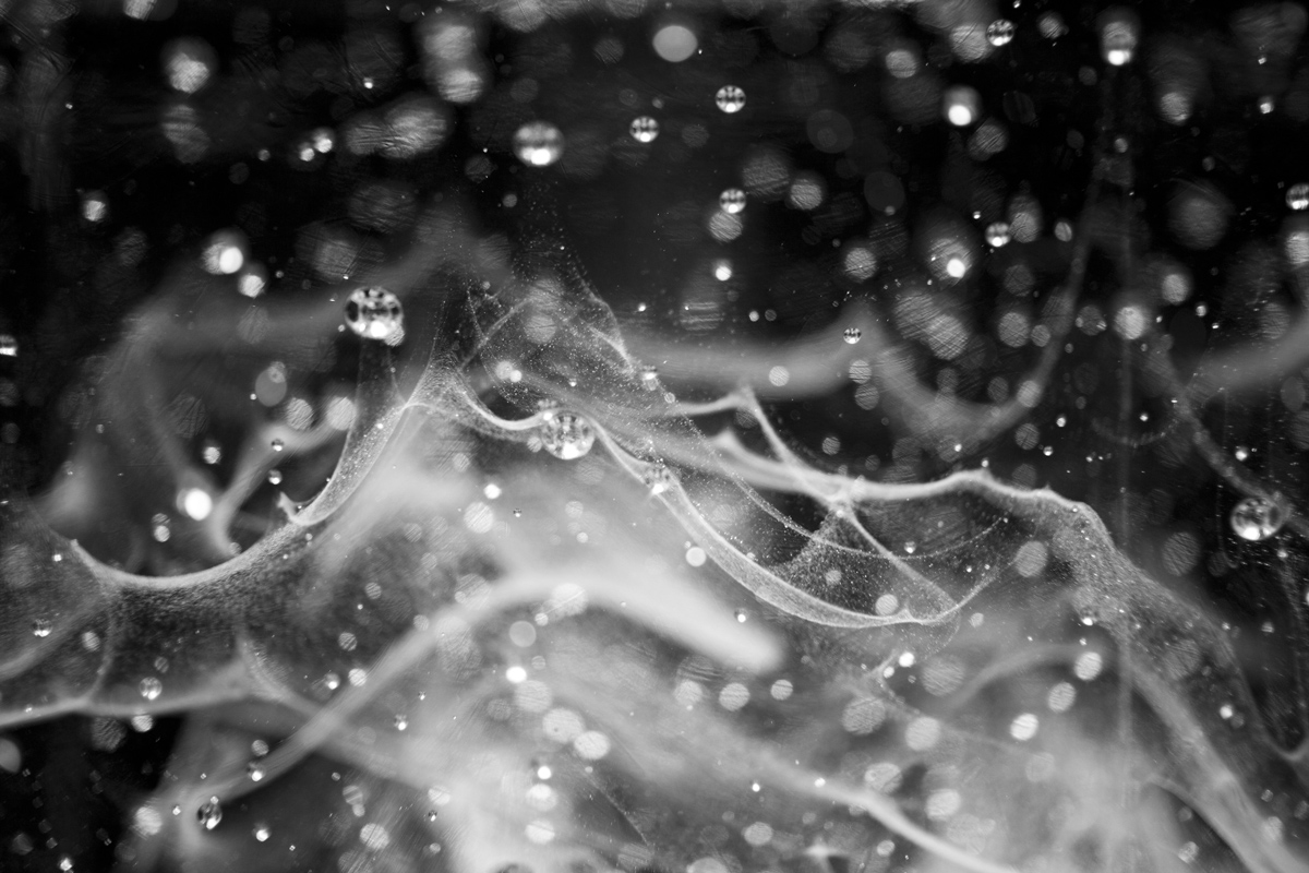 glops-photo-textures-19.jpg