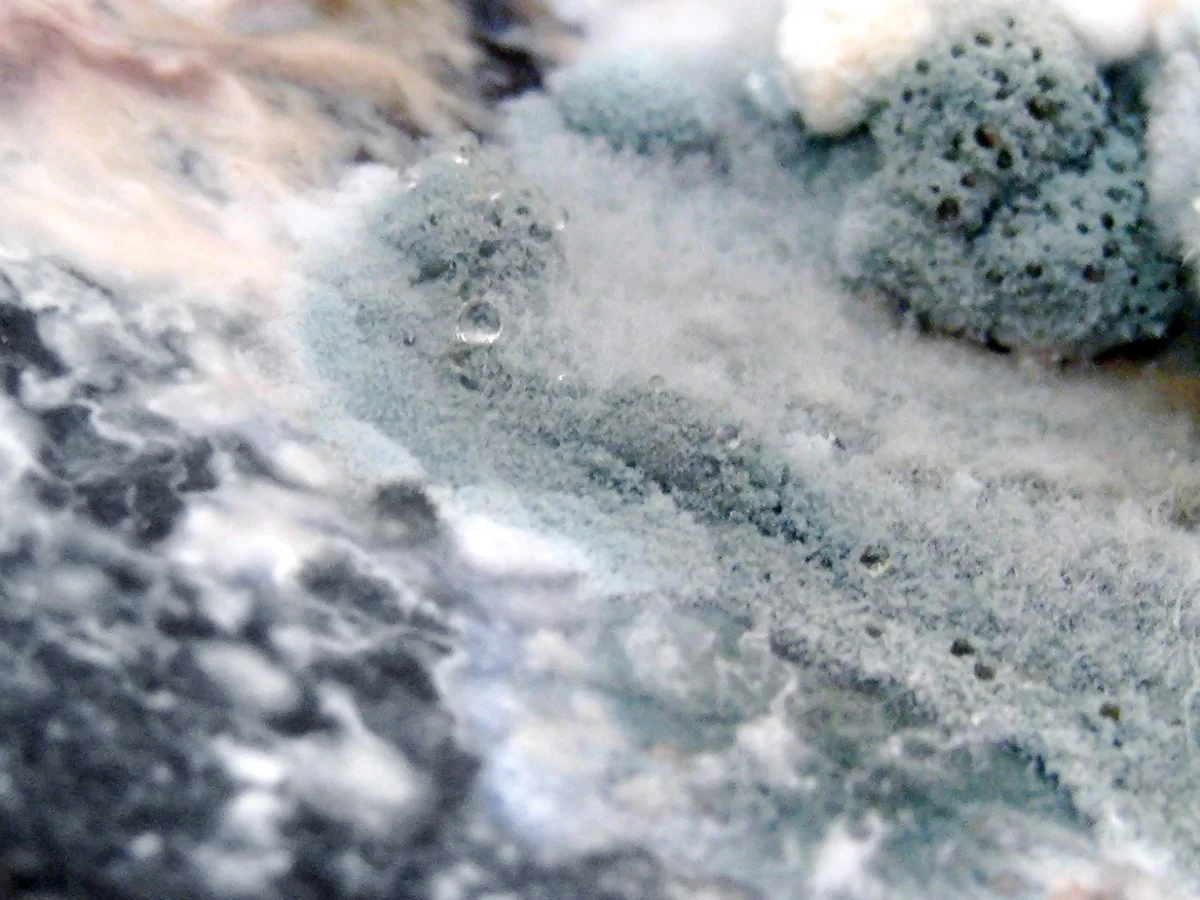 glops-photo-textures-17.jpg