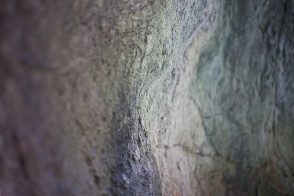 glops-textures-01.jpg