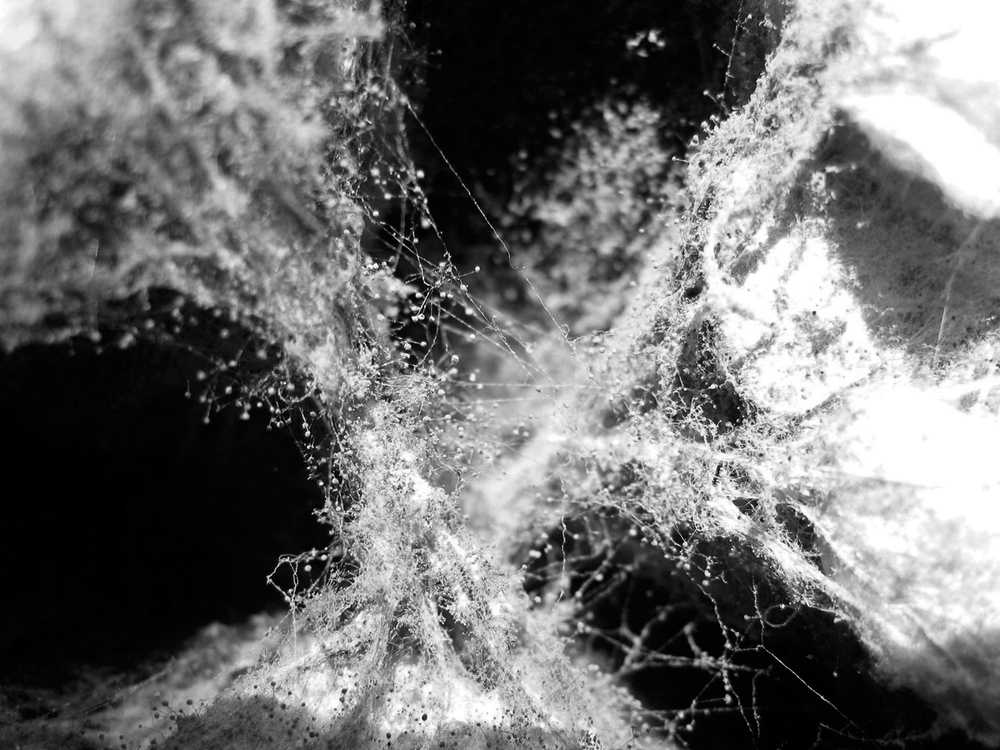 glops-photo-textures-18.jpg