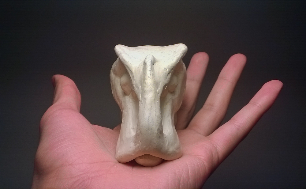 Front view.