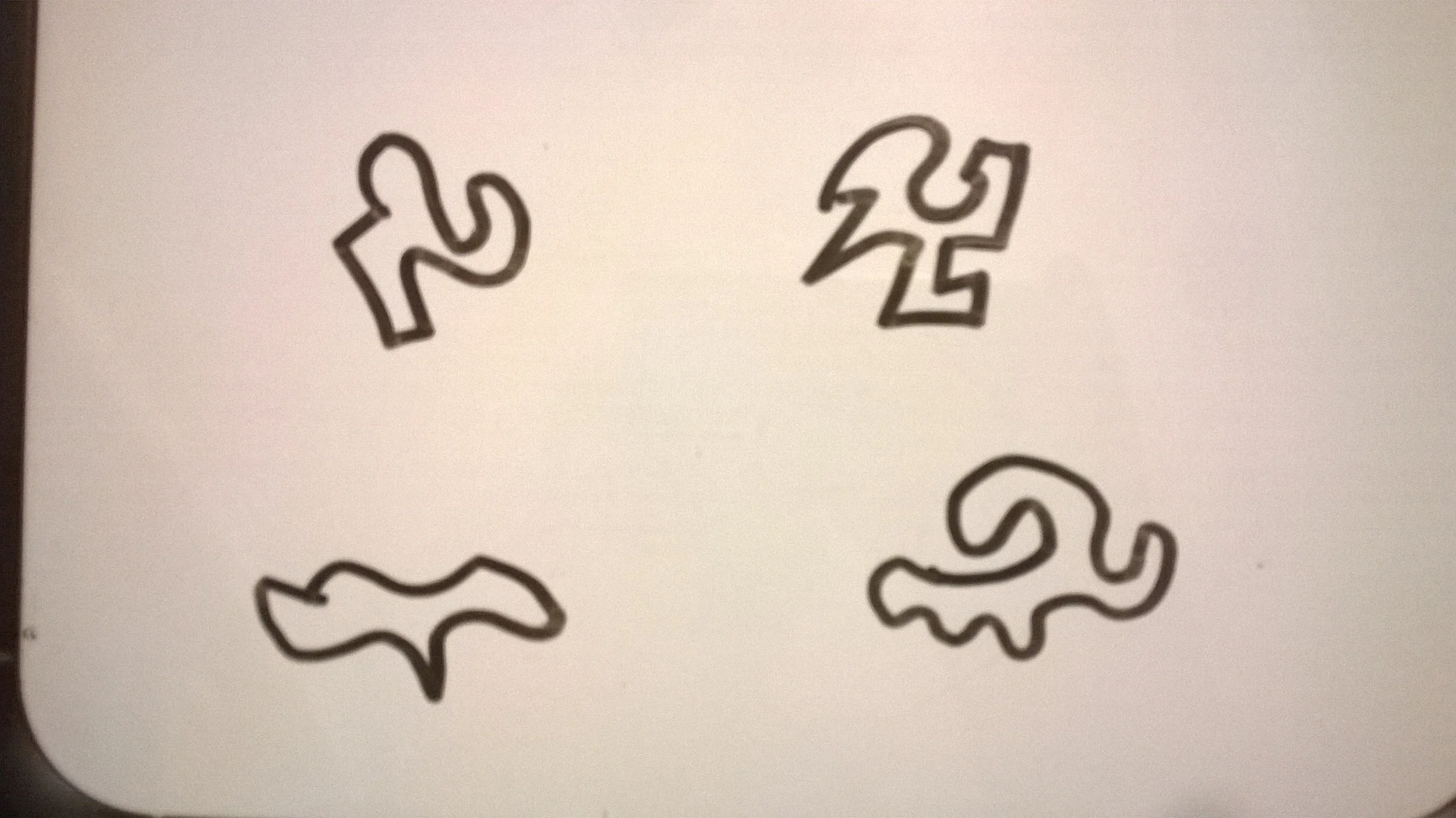 WP_20150123_001.jpg