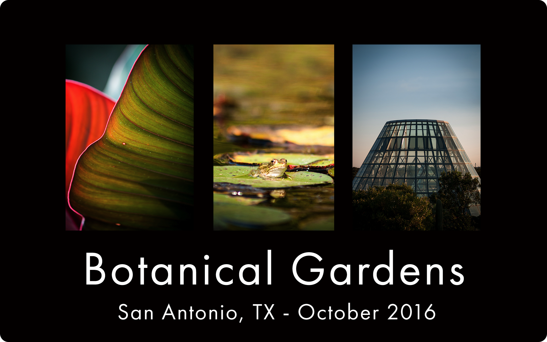 2016 Botanical Gardens Thumbnail.png