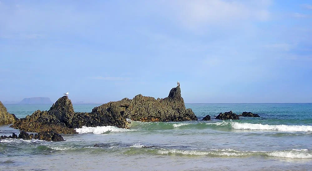 Sea Eagle on Whale Rock