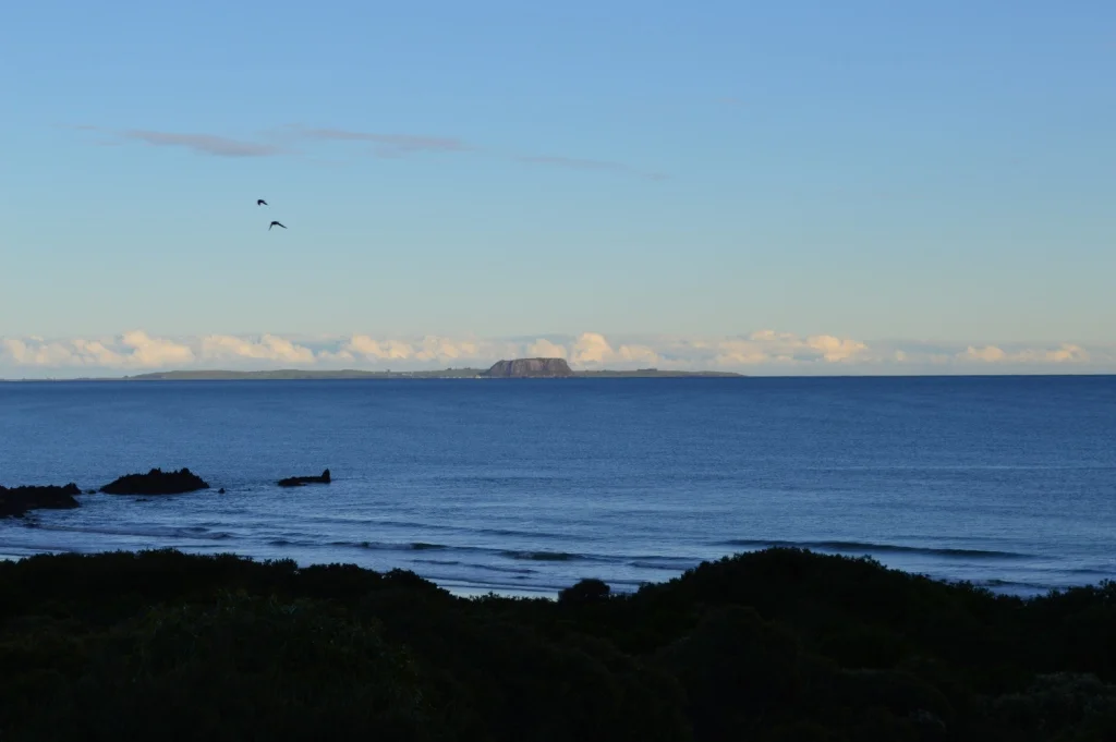 Early Morning View Of Stanley