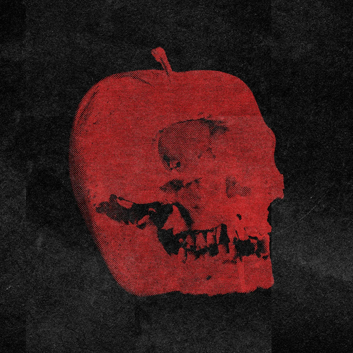 art13.jpg