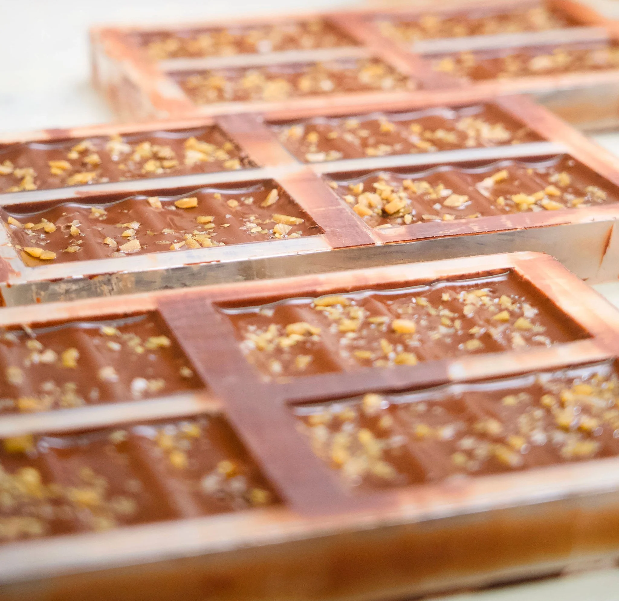 Dolcetta_Chocolate_Bars_Cooling_in_molds.jpg