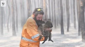 WWF - Bushfires 30 Million Fund Launch