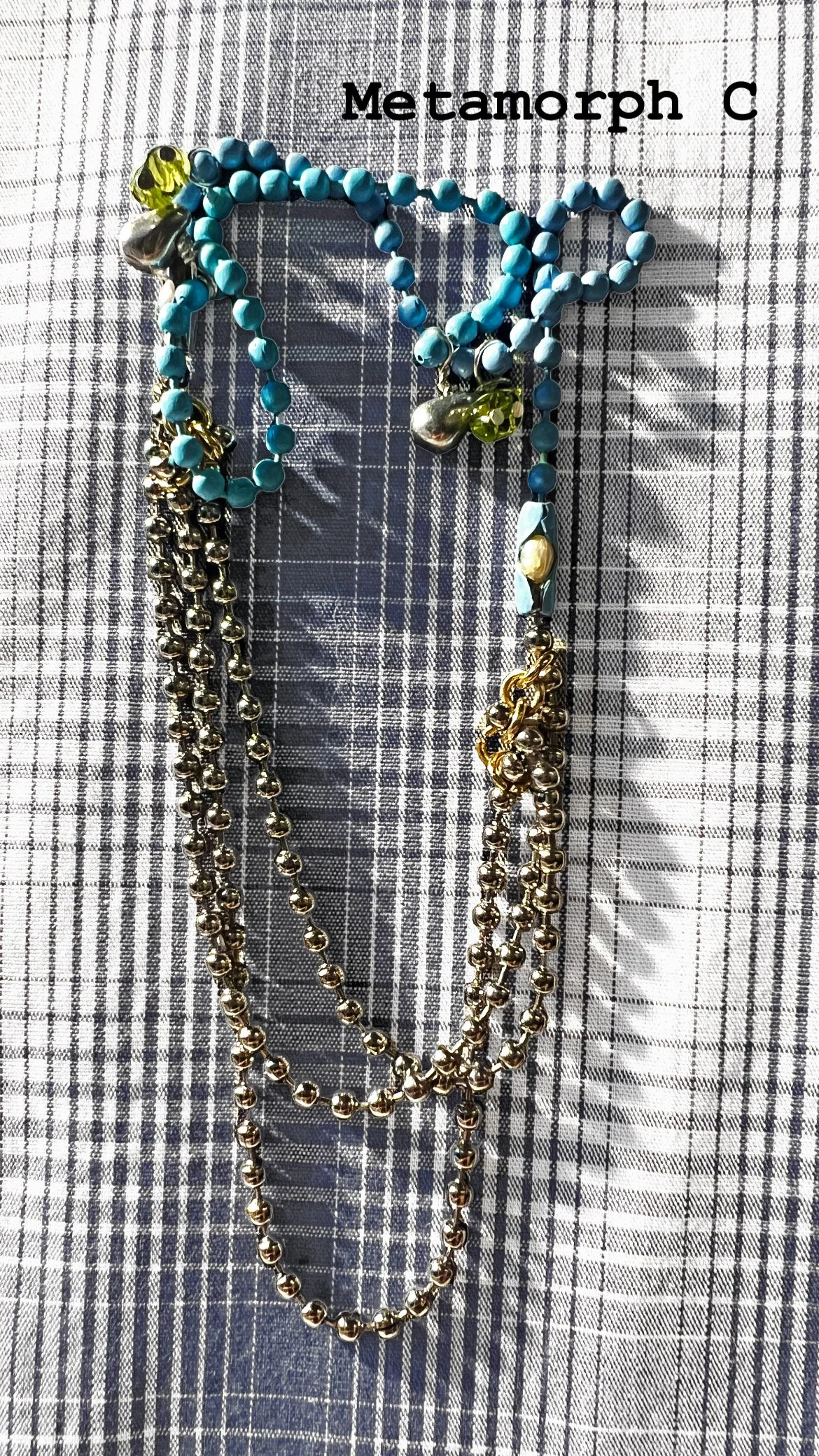 Metamorph C label.JPG