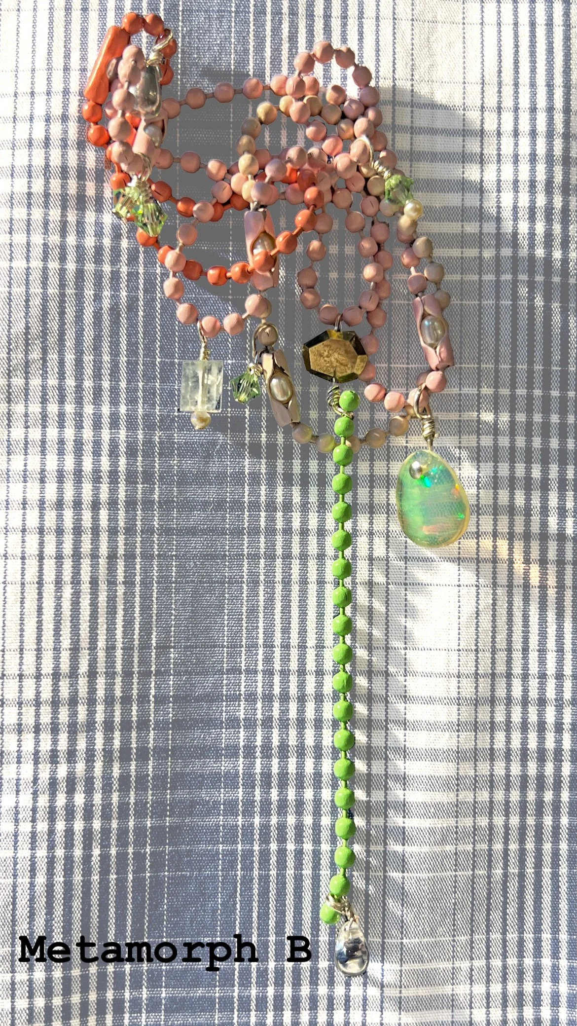 Metamorph B label.JPG