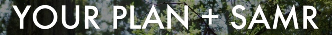 TASKS: A. Use SAMR to audit a collection of resources | B. Assess how well an eLearning Plan adapts SAMR | C. Apply to your plan