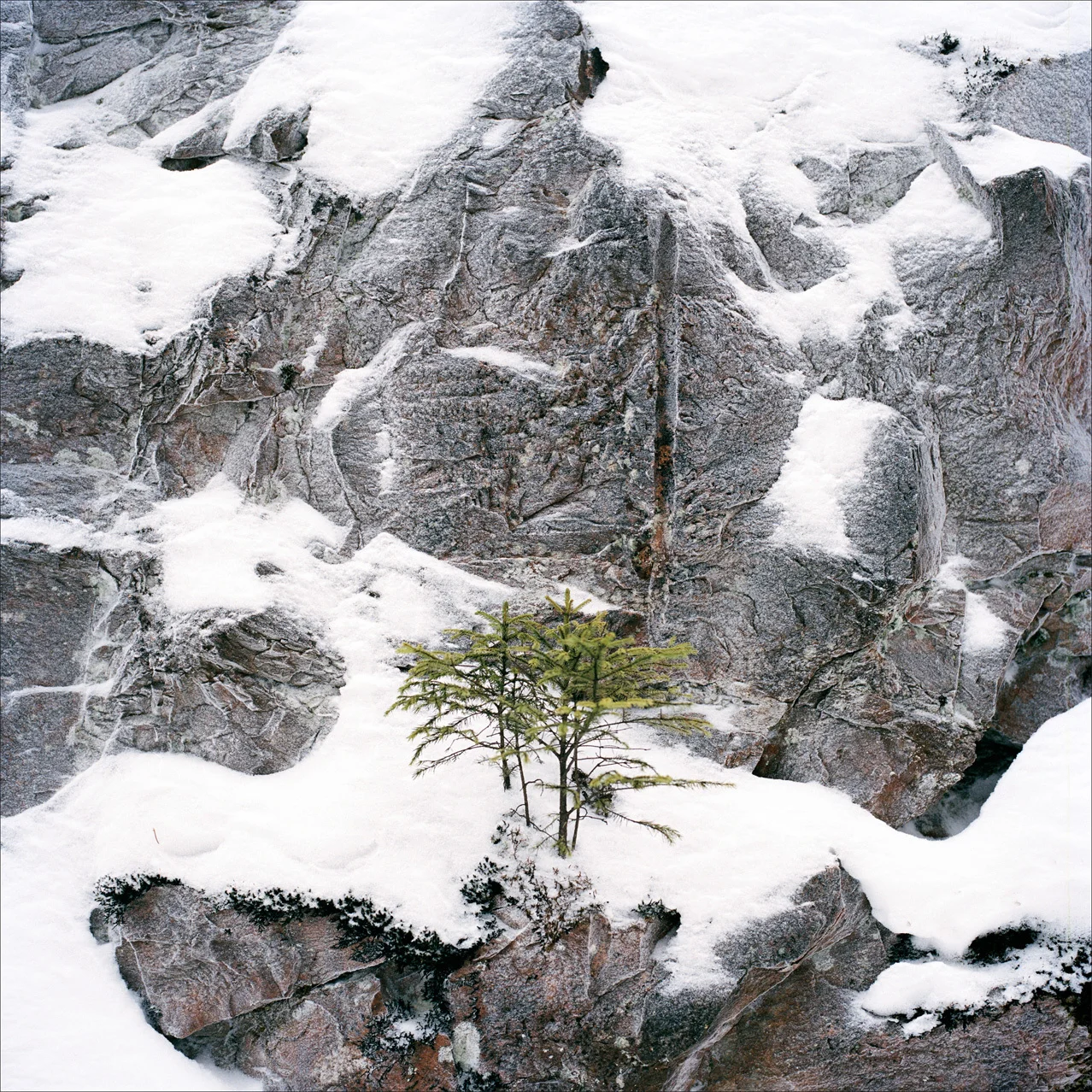 Untitled-12.jpg
