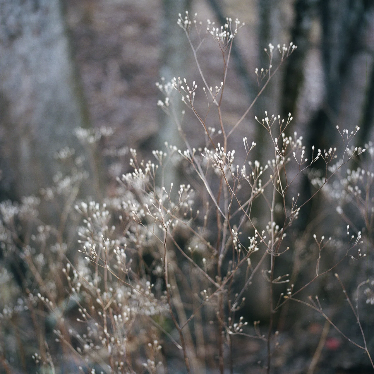 Untitled-14.jpg