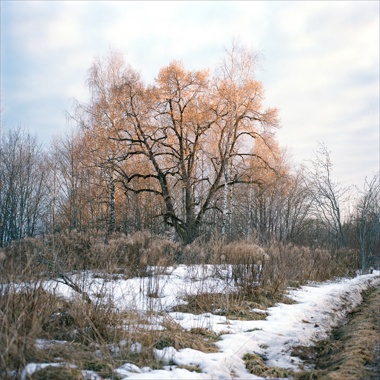 Untitled-20.jpg