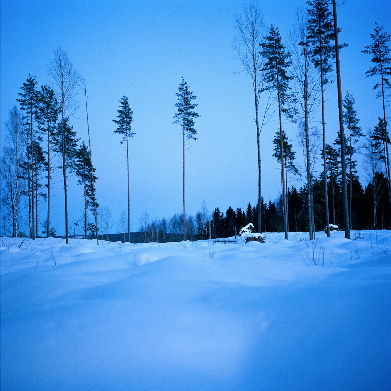 Untitled-22.jpg