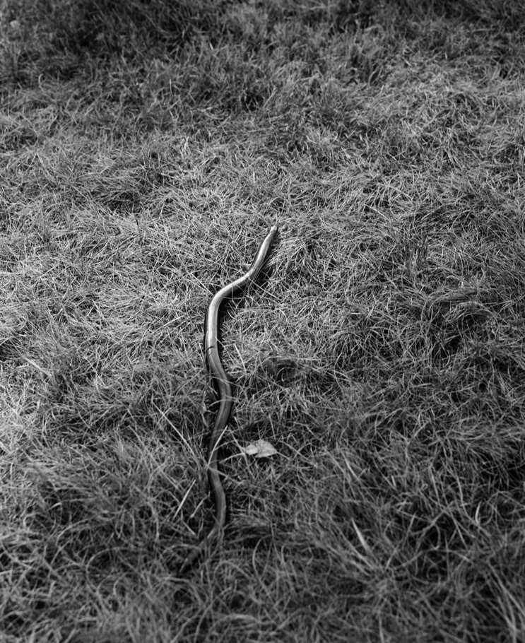 misc039bw_low.jpg