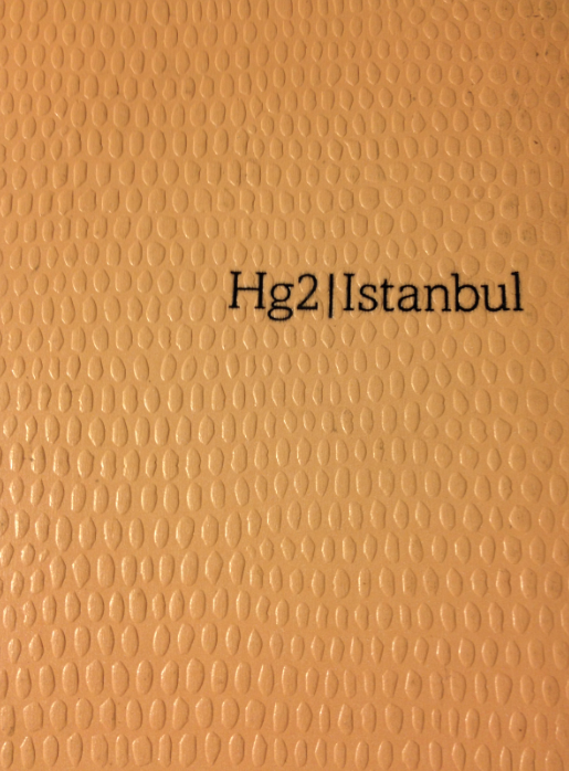 hg2:1.png