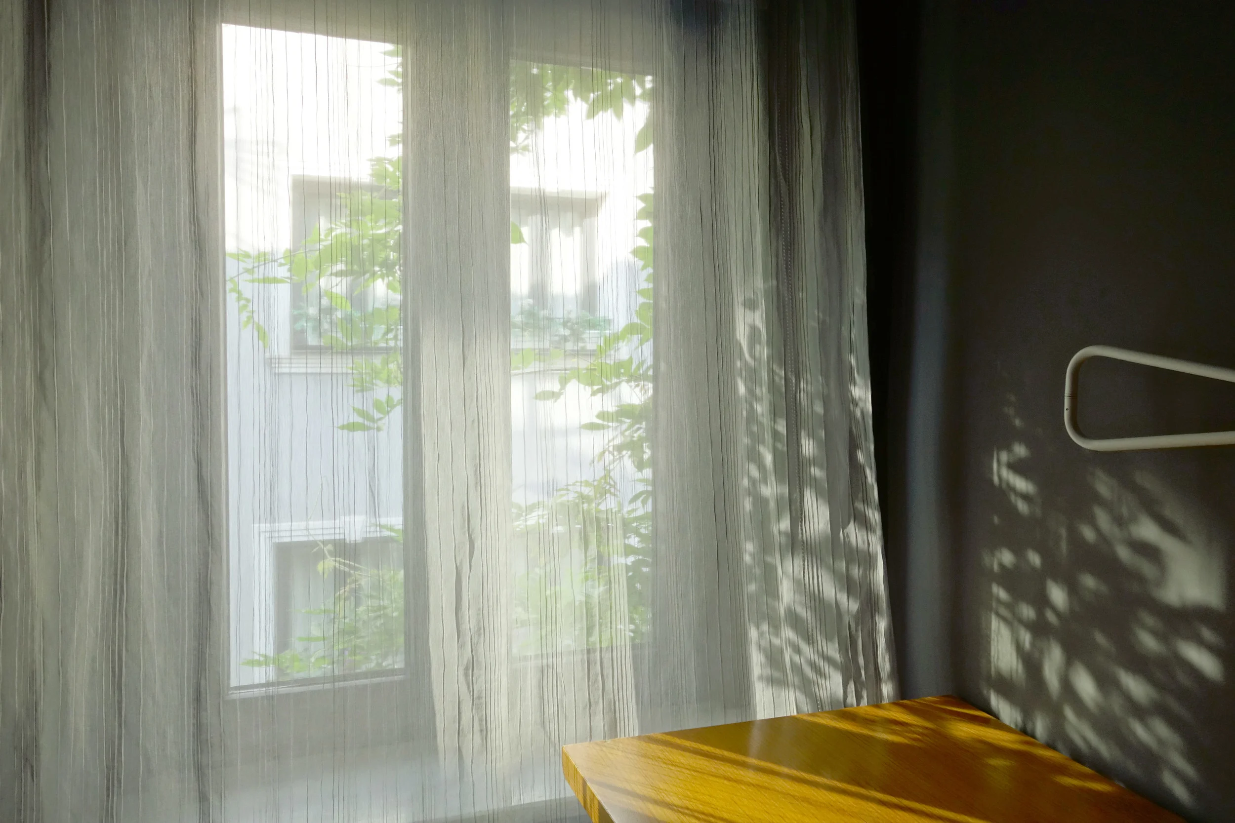 DSC06792.jpg