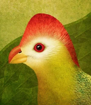 BirdIllo.jpg