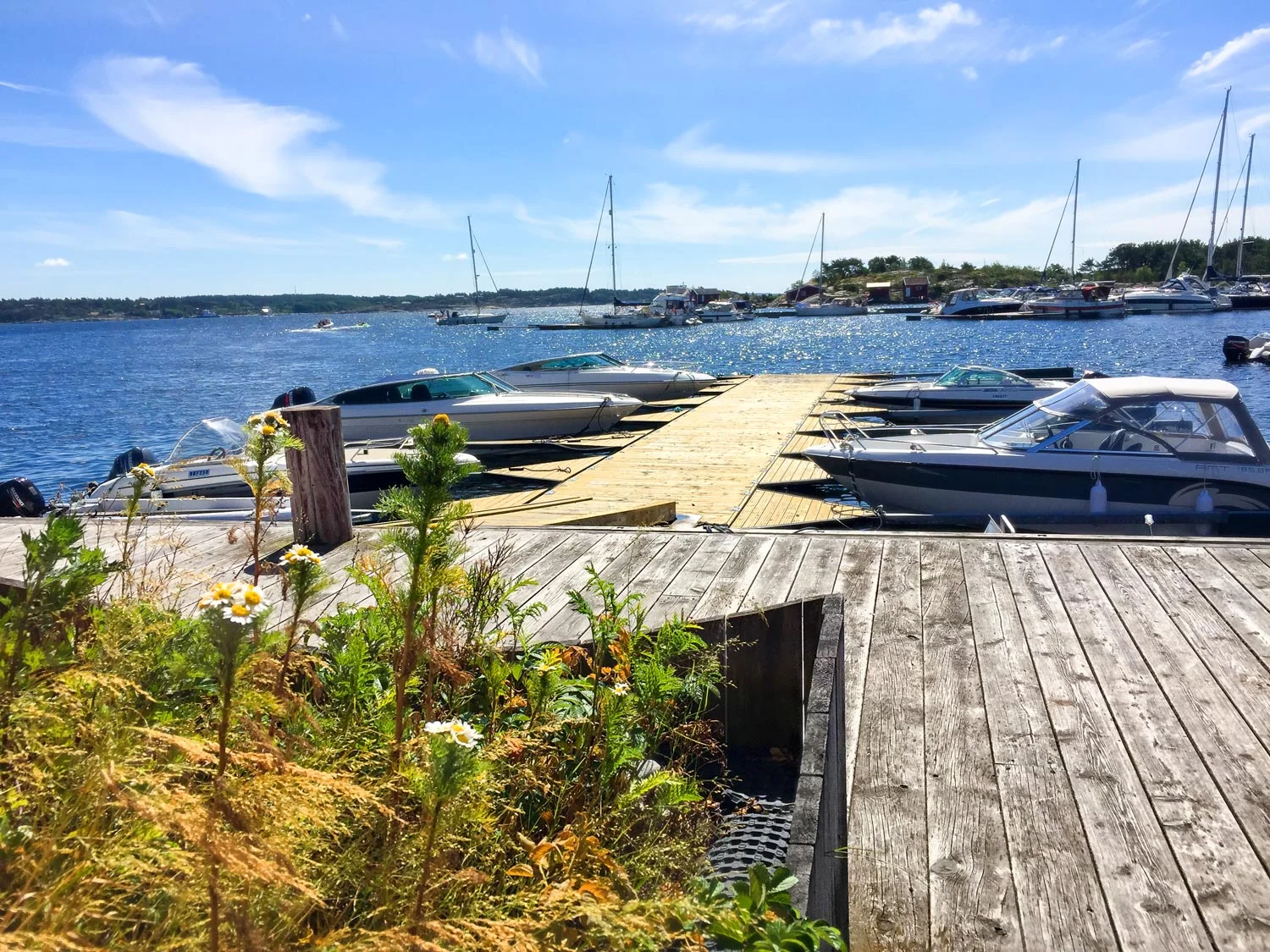 hvaler-IMG_4382.jpg