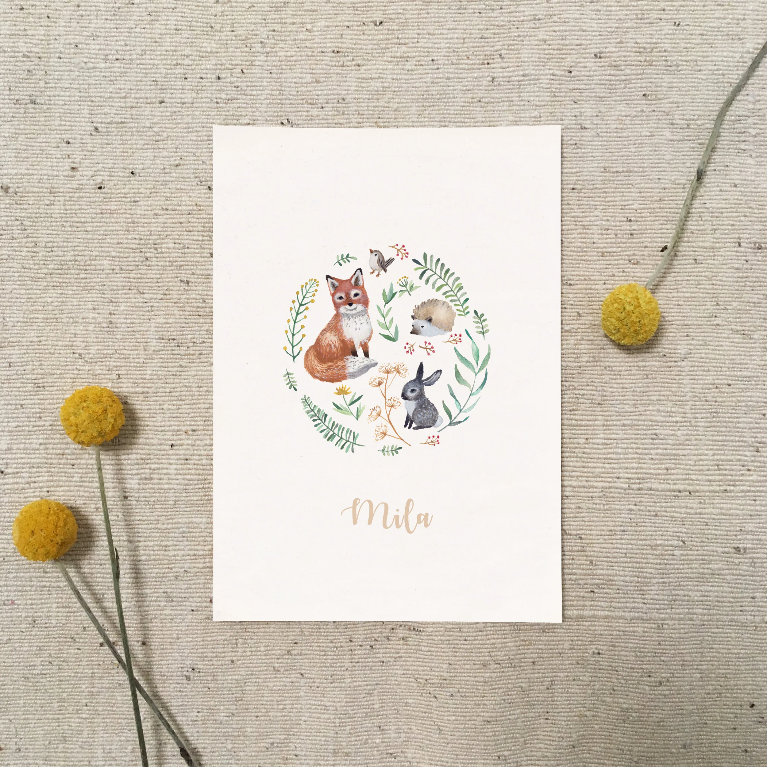 Mila (Copy)