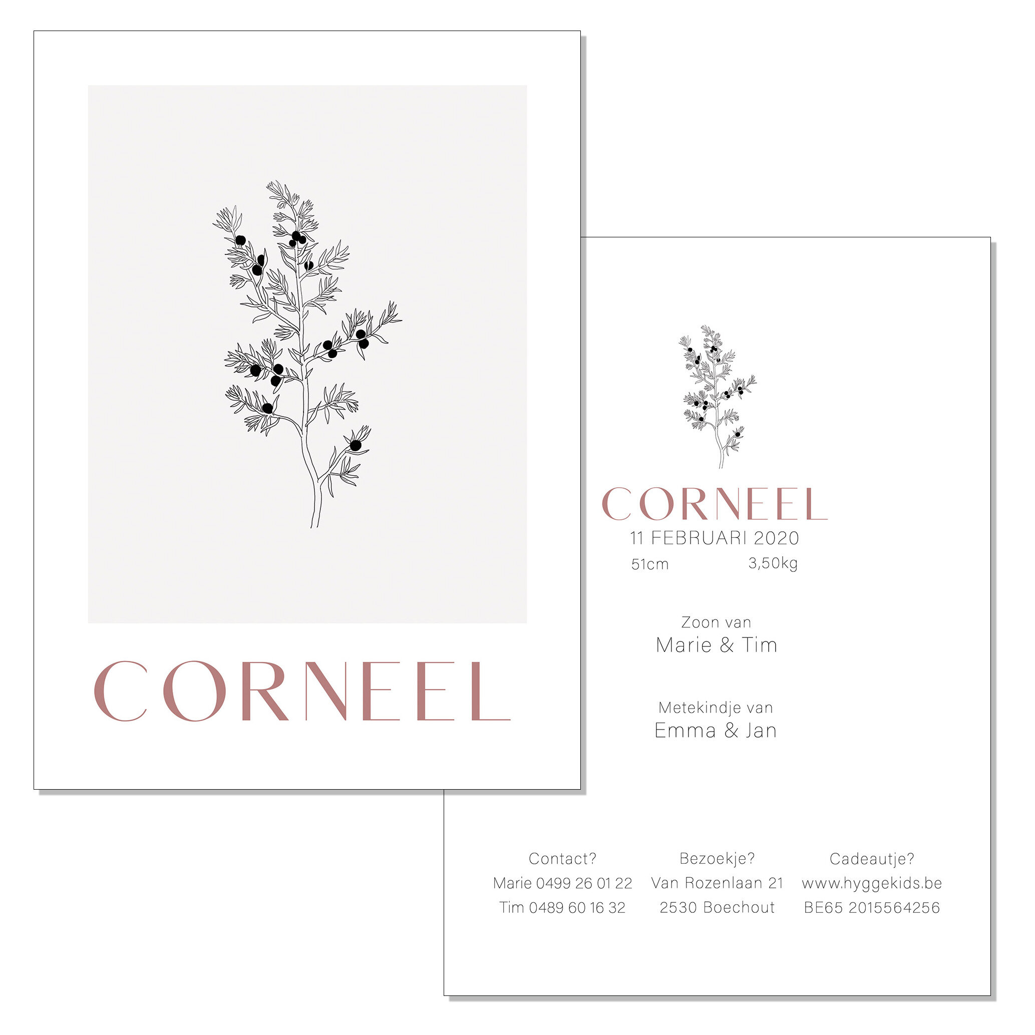 Corneel 2.jpg