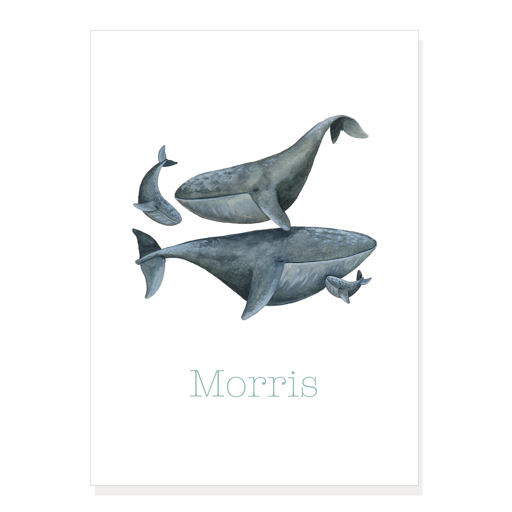 Morris Walvissenfamilie voor.jpg