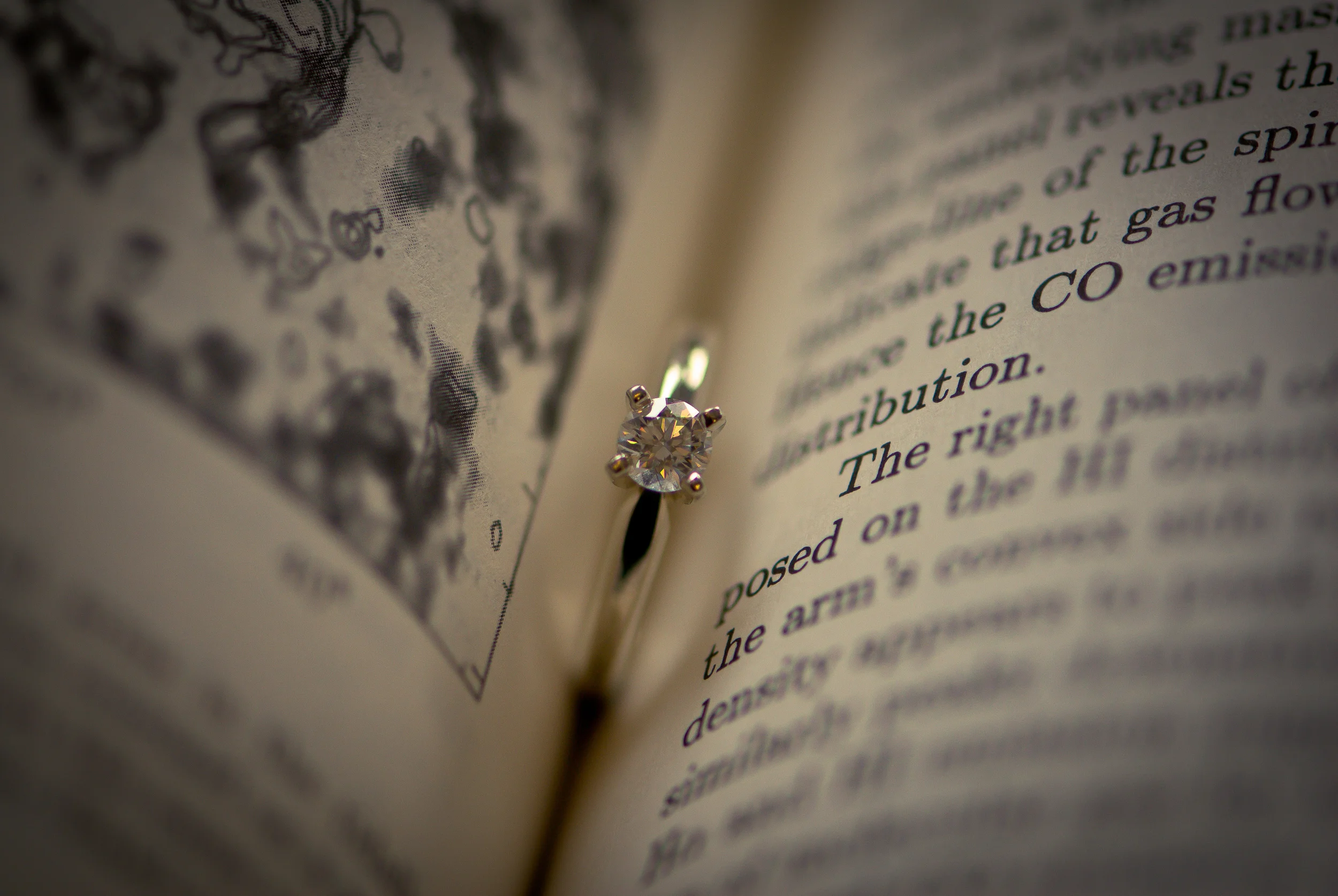 ring1