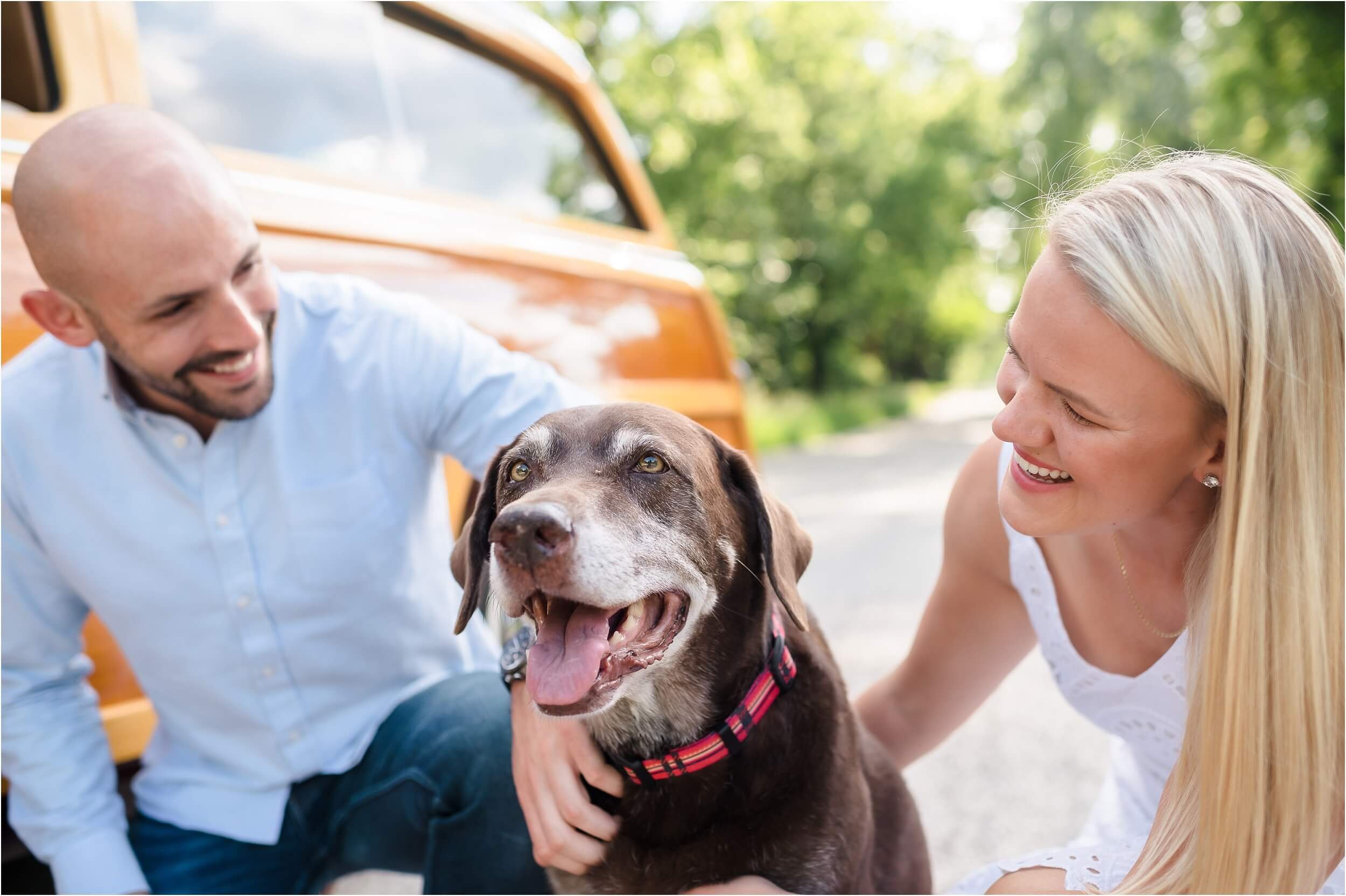  A couple pets a senior brown dog during their engagement session.  