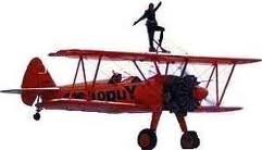 Flight is freedom!