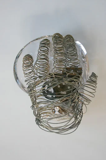 Hæckels' hand 23 x 17 x 8cm - 2013