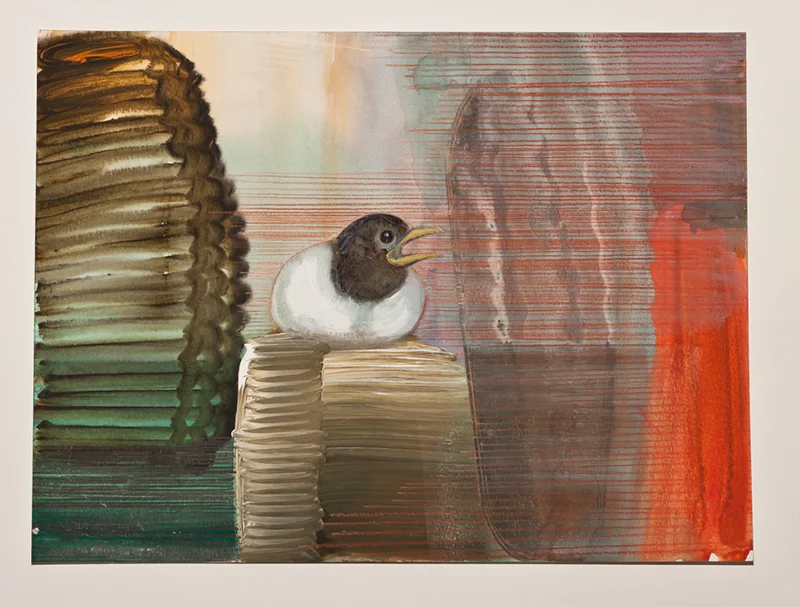 Jonge zwartkop 24x32 2011.jpg