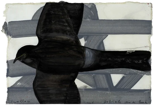 swallow 15 x 21.5 2006.jpg