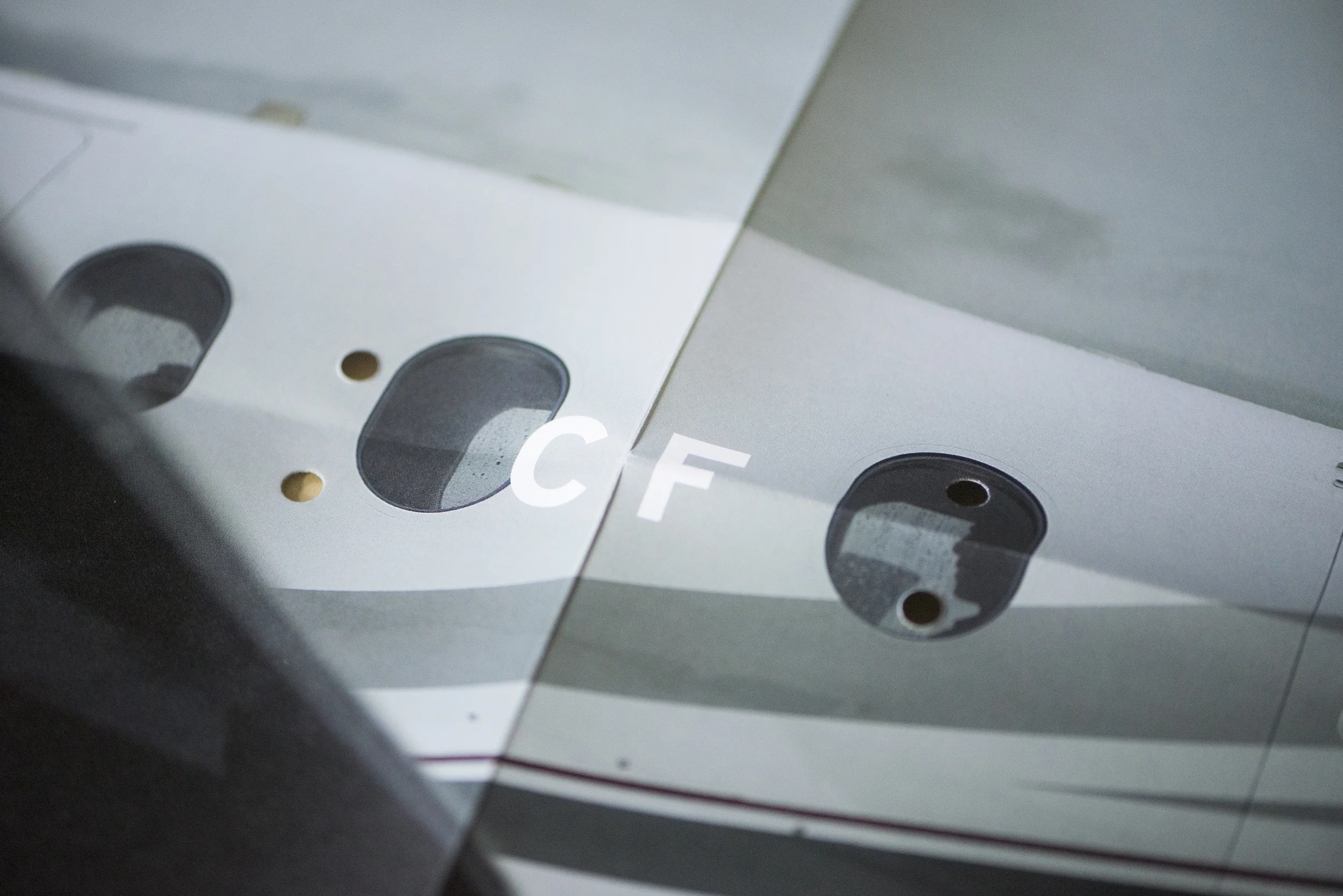 CF_detail2.jpg