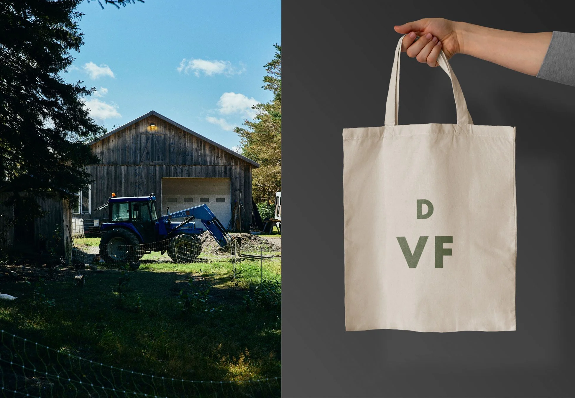 DVF_animaux2.jpg