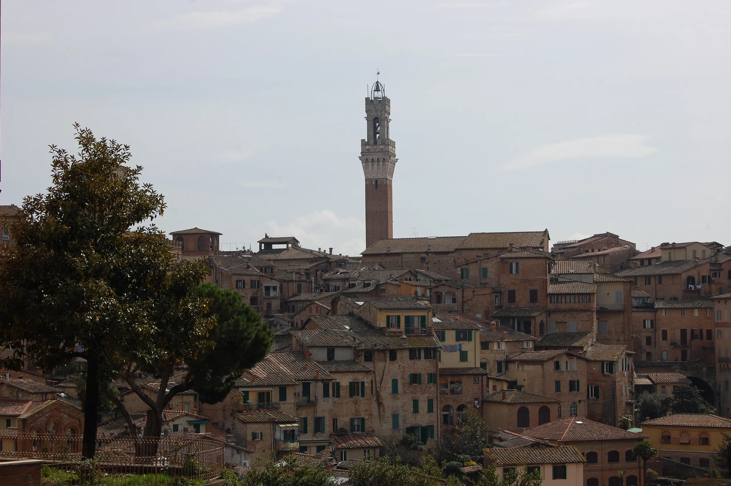 DSC_0021.JPG