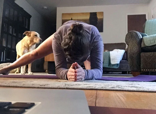 Stacey Privia's Year of Athletes for Yoga #hitreset365