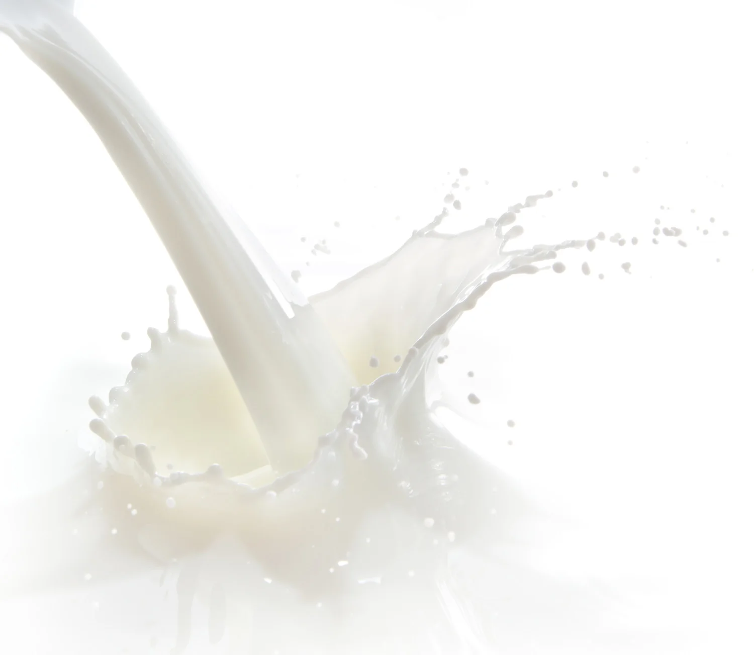 Milk splash - Carnosine 1.jpg