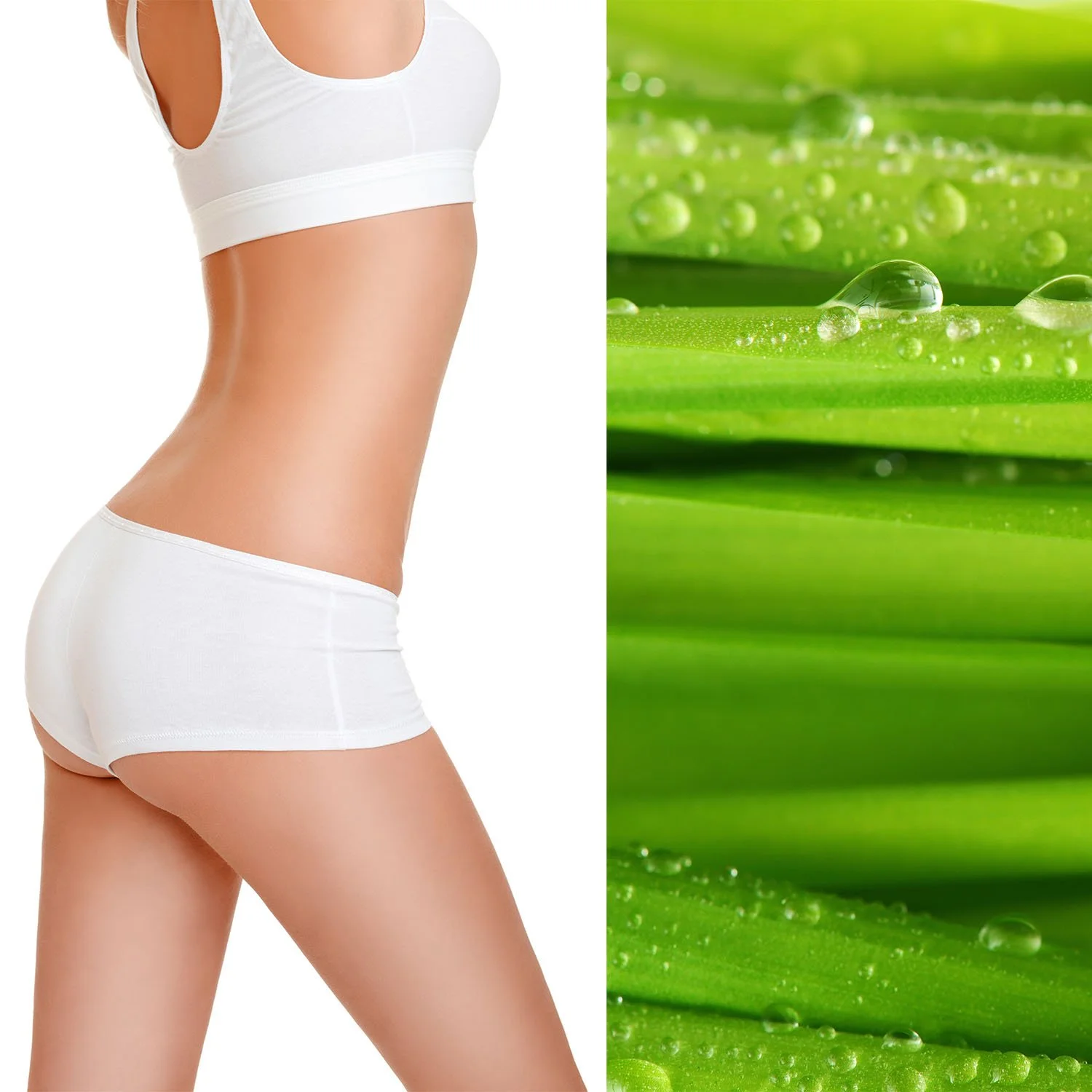 Celluence® Body 1500.jpg