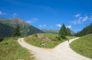 Fork in Dirt Road.jpg