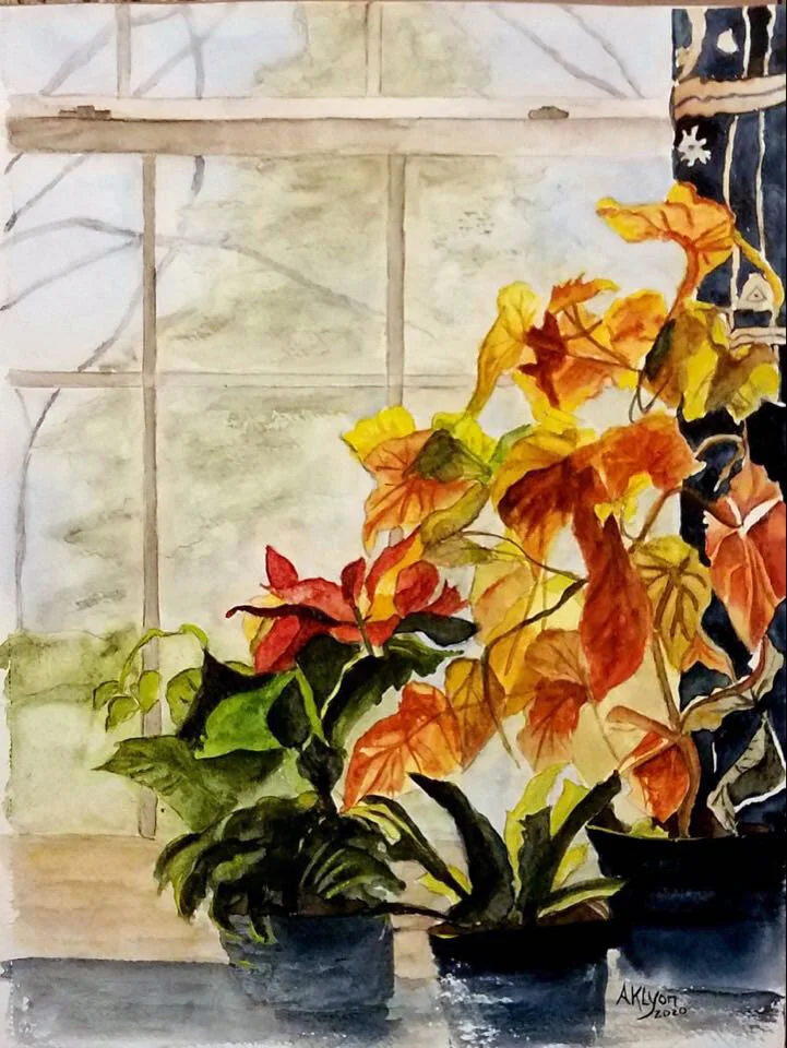 Anne Lyon