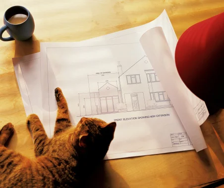 98610554-cat-plans-gettyimages.jpg