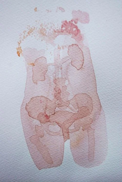 Truth: A Gut is a Terrible Thing to Waste